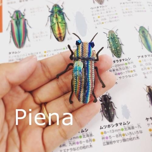 タマムシ №0007 - ∞Piena