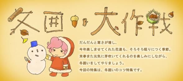 岩崎園芸ネットストア