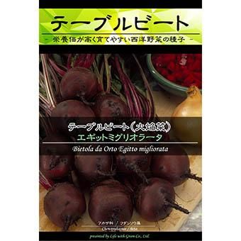 テーブルビート エギット ミグリオラータ 山野草 高山植物の通信販売店 岩崎園芸ネットストア