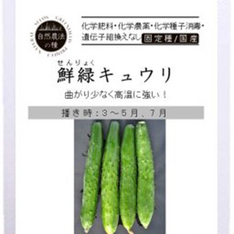 鮮緑キュウリ-北海道の山野草・宿根草・高山植物販売専門店岩崎園芸ネットストア