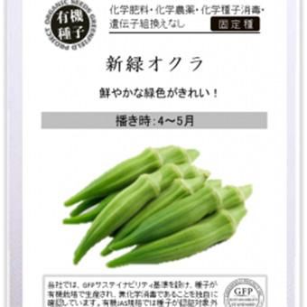 固定種　栽培時農薬不使用　オクラ 新緑オクラ-北海道の山野草・宿根草・高山植物販売専門店岩崎園芸