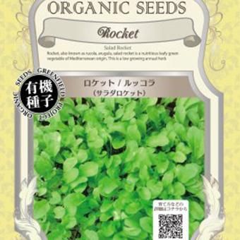 ロケット ルッコラ(サラダロケット)-北海道の山野草・宿根草・高山植物