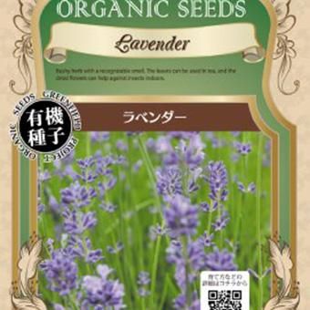 ラベンダー 食用大黄-北海道の山野草・宿根草・高山植物販売専門店岩崎