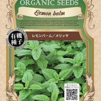 レモンバームLemon balm ケーキ皿5枚　日本製 レモンバームLemon balm ケーキ皿5枚日本製