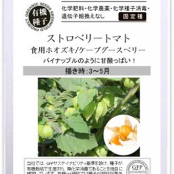 ストロベリートマト （食用ホオズキ/ケープグースベリー）-北海道の山野草・宿根草・高山植物販売専門店岩崎園芸ネットストア