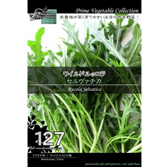 ワイルドルッコラ セルヴァチカ 山野草 高山植物の通信販売店 岩崎園芸ネットストア