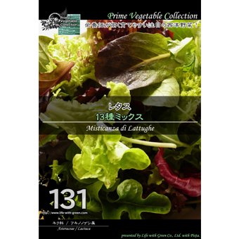 レタス13種ミックス 山野草 高山植物の通信販売店 岩崎園芸ネットストア