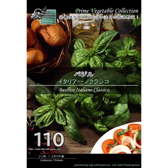 バジル イタリアーノクラシコ 山野草 高山植物の通信販売店 岩崎園芸ネットストア