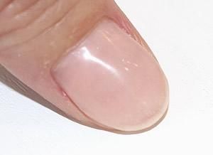 会員様は5%OFF】著名ギタリスト多数愛用 爪補強専用画期的