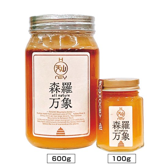 天山蜂蜜✨600g  2個《値上げ前、お早めにどうぞ》森羅万象ハチミツ