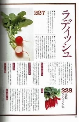衣食住の古書 古本の販売 買取なら あとり文庫 名古屋 衣食住の古書 古本の販売 買取なら あとり文庫 名古屋
