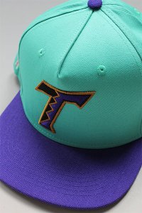 TWNTY TWO SNAP BACK CAP RATTLERS【TIF/PUR】