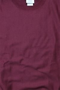 Champion REVERSE WEAVE CREW SWEAT BURGUNDY