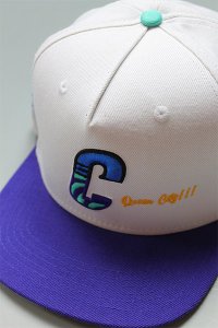 TWNTY TWO SNAP BACK CAP CHARLOTTE【WHT/TUQ/PUR】