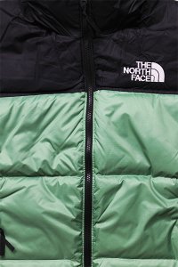 <img class='new_mark_img1' src='https://img.shop-pro.jp/img/new/icons16.gif' style='border:none;display:inline;margin:0px;padding:0px;width:auto;' />THE NORTH FACE 1996 RETRO NUPTSE DOWN JACKET 【DEEP GREEN GRASS】