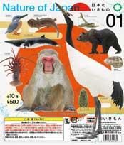 5/10UP ¤¤¤¤â¤ó¡¡Nature of Japan ÆüËܤΤ¤¤¤â¤Î01