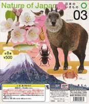  6/28UP Nature of Japan ܤΤ03