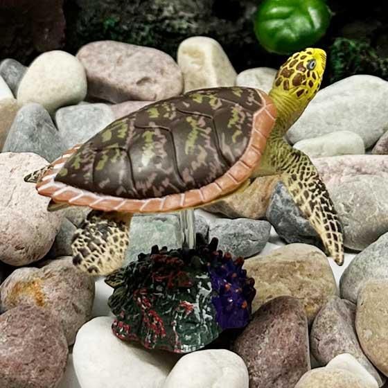タカラトミーアーツ 立体カプセル百科事典 原色爬虫類カメ目図鑑