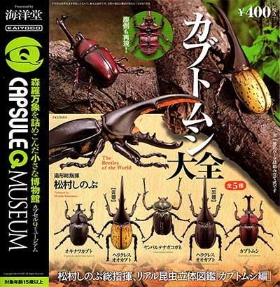 海洋堂 カプセルqミュージアム カブトムシ大全 全5種フルセット Kg ガシャポン フィギュア トミカ 食玩 販売 通販 大阪 日本橋 Toy S Zero トイズゼロ 海洋堂 カプセルqミュージアム カブトムシ大全 全5種フルセット Kg ガシャポン フィギュア トミカ 食玩 販売 通販 大阪 日本橋 Toy S Zero トイズゼロ
