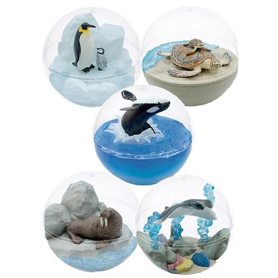 クオリア　カプリウムコレクション 海洋生物　全5種フルセット（2023.07再販）　TC00471 1枚目