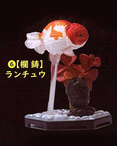 ビーム 金魚立体図鑑 フル彩色フィギュア 蘭鋳（ランチョウ） TC00525 - ガシャポン,フィギュア,トミカ,食玩,販売,通販,大阪,日本橋,  『Toy's Zero』 トイズゼロ