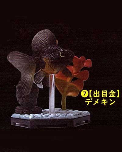 ビーム 金魚立体図鑑 フル彩色フィギュア 出目金（デメキン） TC00526