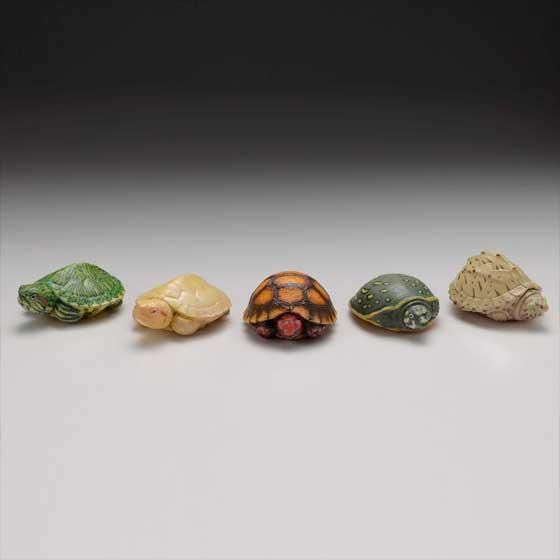 海がめさま専用！ カメの底砂 2.5kg GEX 亀飼育用品 | ホームセンター通販はDCM