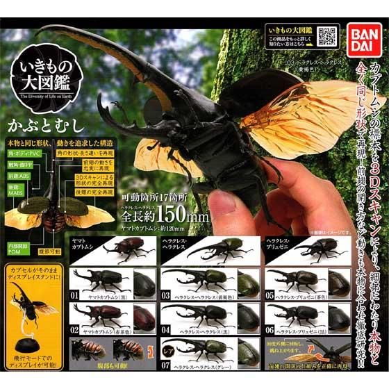 価格販売中 いきもの大図鑑 カブトムシ クワガタ 26体セット - フィギュア