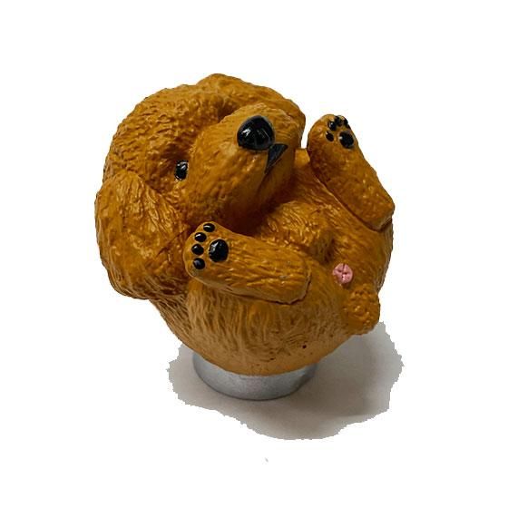 タカラトミーアーツ まんまるいぬ 人気者編 Part2 トイプードル アプリコット タカラトミーアーツ まんまるいぬ 人気者編 Part2 トイプードル アプリコット
