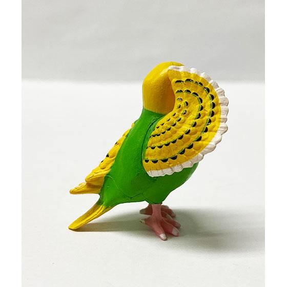 エール 敬礼 KEIREI -鳥- セキセイインコ エール 敬礼 KEIREI -鳥- セキセイインコ