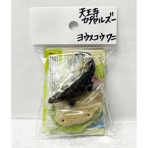 天王寺カプセルズー - ガシャポン,フィギュア,トミカ,食玩,販売