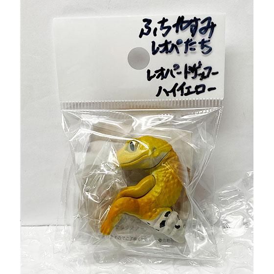 エール ふちやすみ レオパたち レオパードゲッコー ハイイエロー エール ふちやすみ レオパたち レオパードゲッコー ハイイエロー
