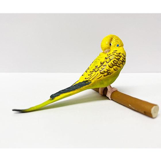 セキセイインコ　a⑥ セキセイインコ約1/2サイズ＋おすわり | TinyBooBoo