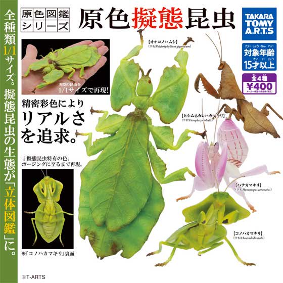 タカラトミーアーツ　原色図鑑シリーズ　原色擬態昆虫　全4種フルセット　TC01169