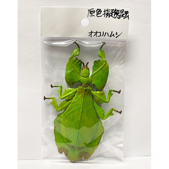 タカラトミーアーツ 原色図鑑シリーズ 原色擬態昆虫 オオコノハムシ