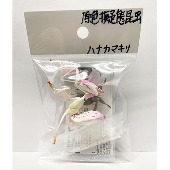 アーツ 原色図鑑シリーズ 知ろ 原色擬態昆虫 ハナカマキリ 内袋未