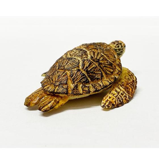 キタンクラブ ART IN THE POCKET はしもとみおの彫刻 新江ノ島水族館