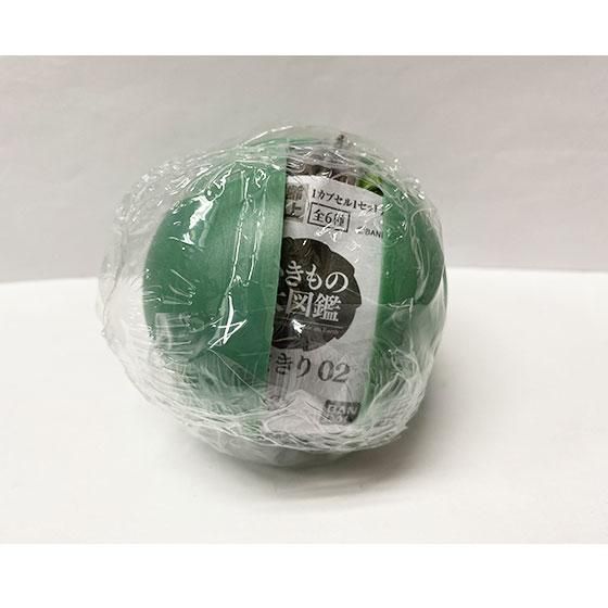 BANDAI - ☆720 いきもの大図鑑　かまきり02 ヒシムネカレハカマキリ他 全6種セット Amazon.co.jp: いきもの大図鑑 かまきり02 2種セット ヒシムネ