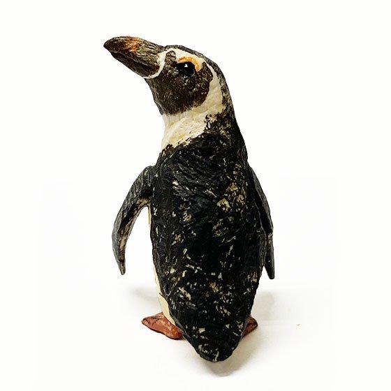 キタンクラブ　ART IN THE POCKET　はしもとみおの彫刻　マリンワールド海の中道　ケープペンギン