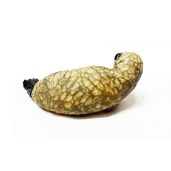 キタンクラブ ART IN THE POCKET はしもとみおの彫刻 マリンワールド海