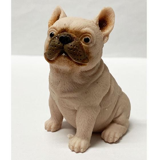 フレンチブルドッグ小皿2点 新品未使用品 美濃焼 フレブル