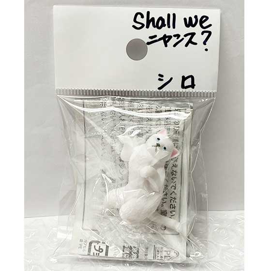 エール　Shall we ニャンス？　シロ