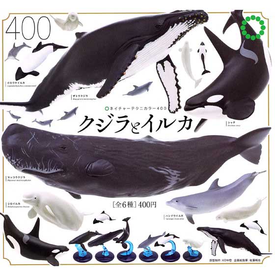 いきもん　ネイチャーテクニカラー400　クジラとイルカ　全6種フルセット　TC01577