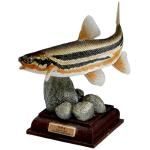 󥯥֡ͥ㡼ƥ˥顼ܤήʺˡTC01463