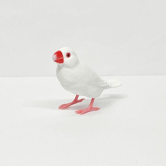 ぶんちょう シャイング 文鳥コレクション3 アルビノ