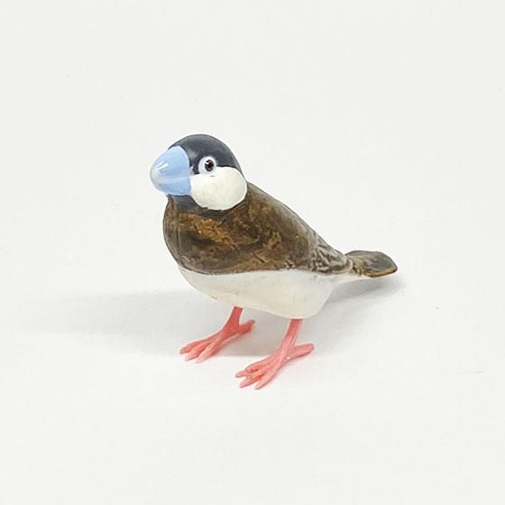 シャイング 文鳥コレクション3 チモール