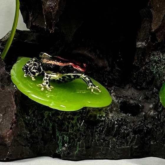 Adam Binder 動物　カエル【750個限定】 Adam Binder 動物 カエル【750個限定】 Amazon.co.jp: 龍角 金蟾