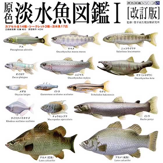 にゃんぱぱコレクションユージン（Yujin）原色淡水魚図鑑I［改訂版］【各種バラ売り】
