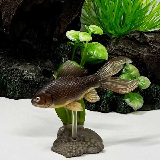 Amazon.co.jp: ユージン 原色淡水魚図鑑Ⅰ 初版 全16種 フルコンプリート品 : おもちゃ