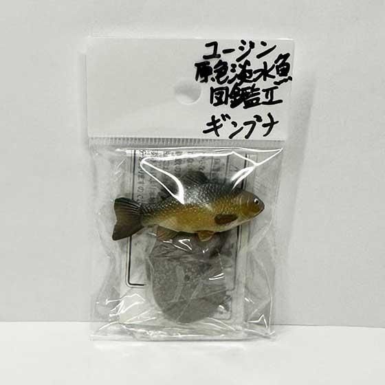 原色淡水魚図鑑　ユージン ユージン 原色図鑑シリーズ 原色淡水魚図鑑II ギンブナ（単色台座）